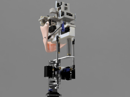 animatronic