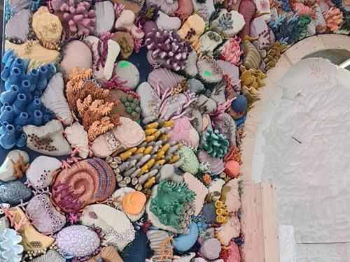 coral