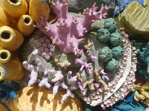 coral