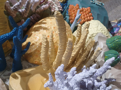 coral