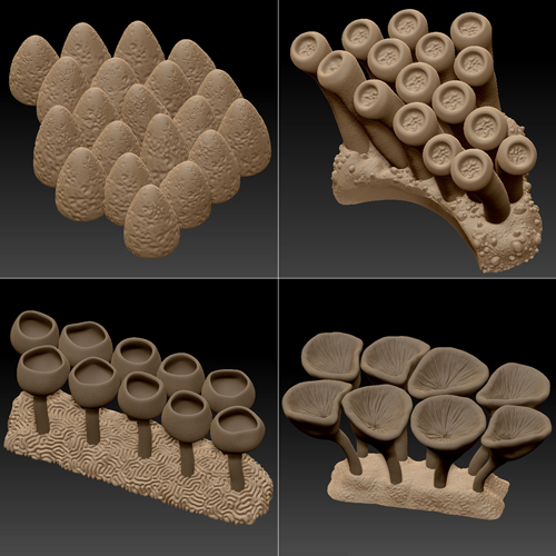 coral
