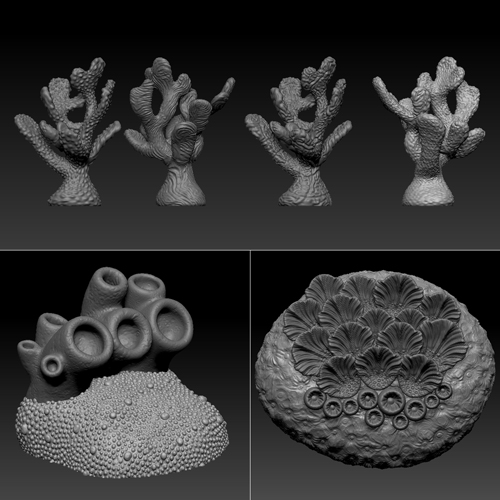 coral