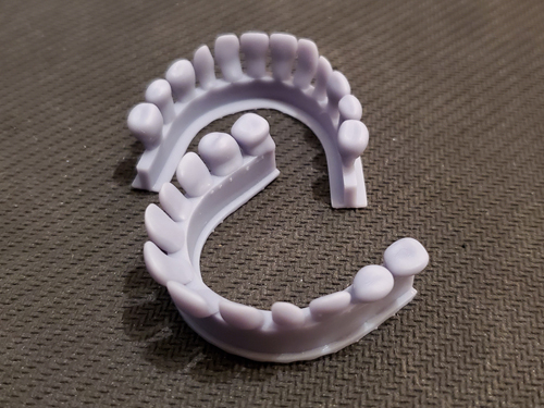 teeth