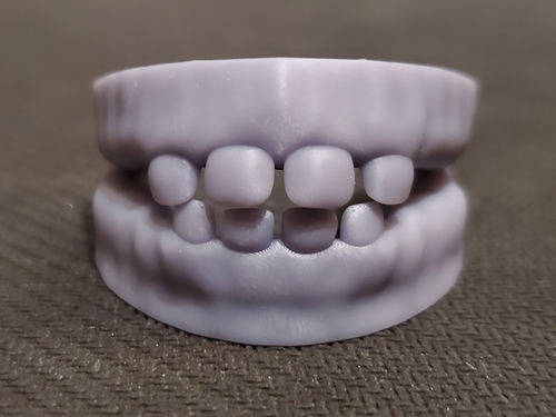 teeth