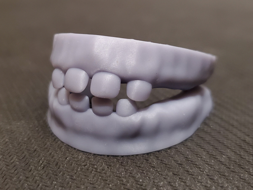 teeth
