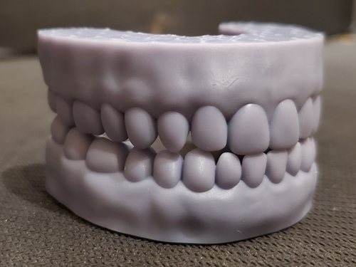 teeth
