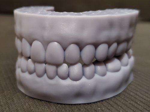 teeth