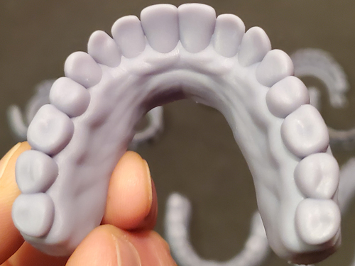 teeth