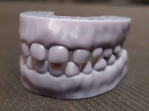teeth
