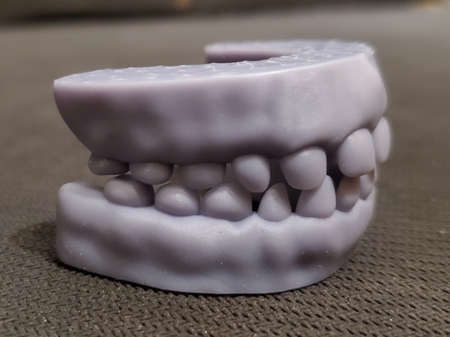 teeth