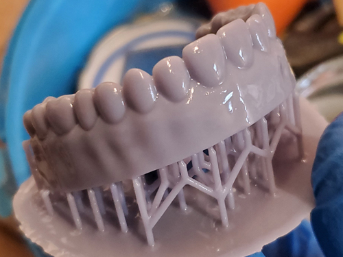 teeth