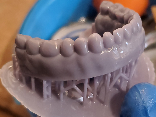 teeth