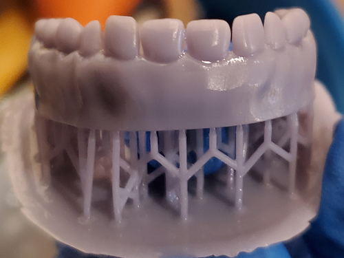 teeth