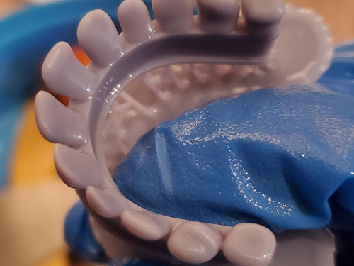 teeth