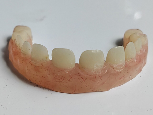 teeth