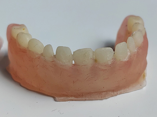 teeth