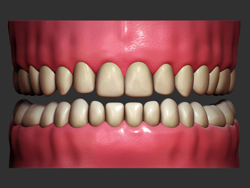 teeth