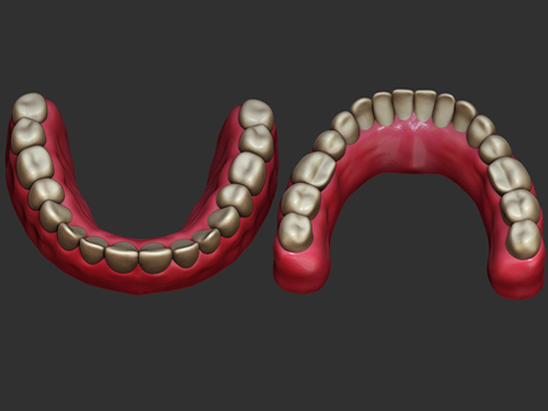 teeth
