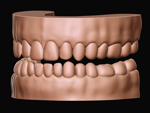 teeth