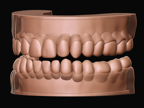teeth