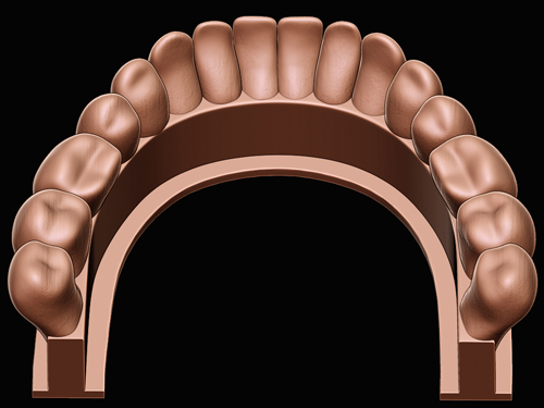 teeth